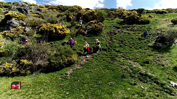 España Directo - España Directo - 26/05/21