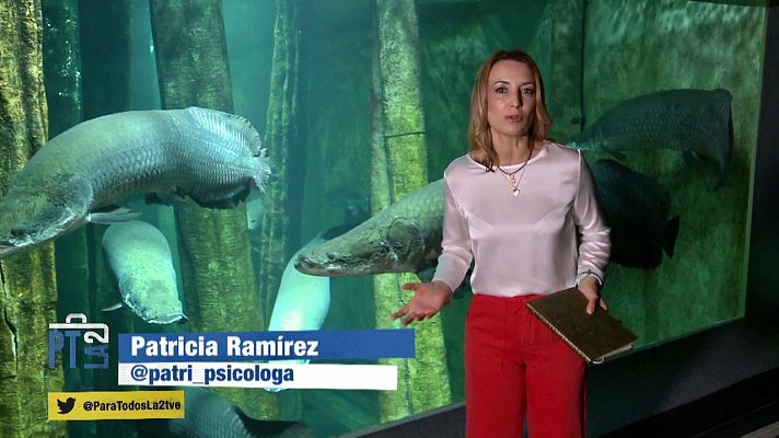 Para todos La 2 - Hablar en público. Consejos de @patri_psicologa