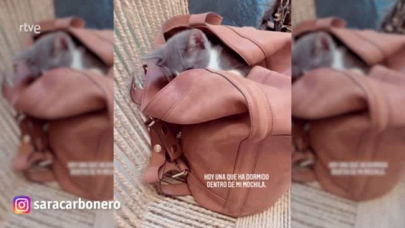 Sara Carbonero nos enseña que hay en su bolso (y nunca adivinarás lo que es)