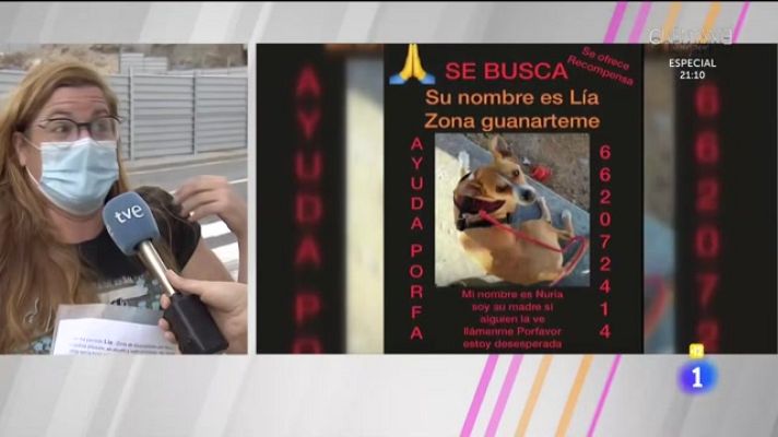 Cerca de ti - Cerca de ti - 27/05/2021