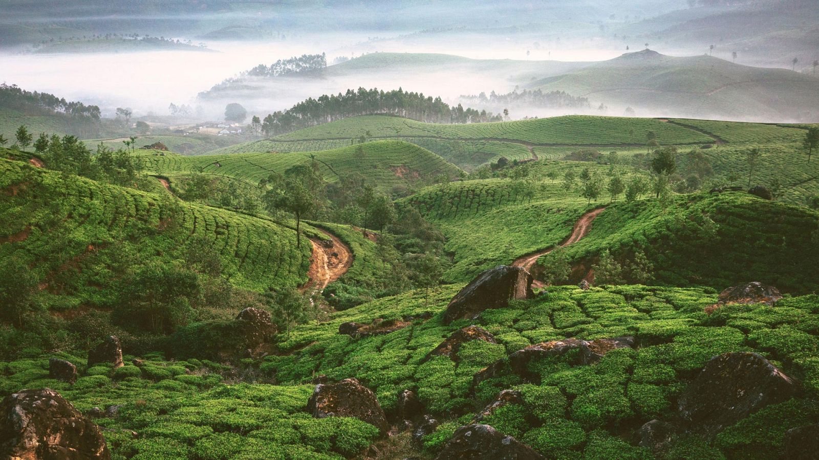 Descubrir - Kerala - ver ahora