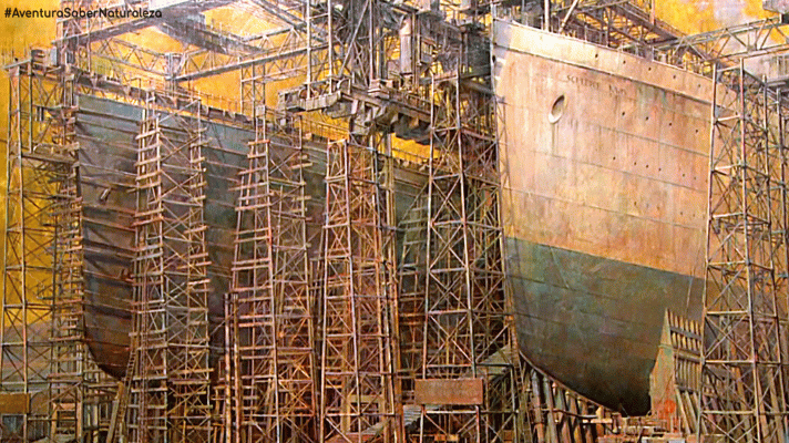 La aventura del Saber - Arte y Ciencia MNCN