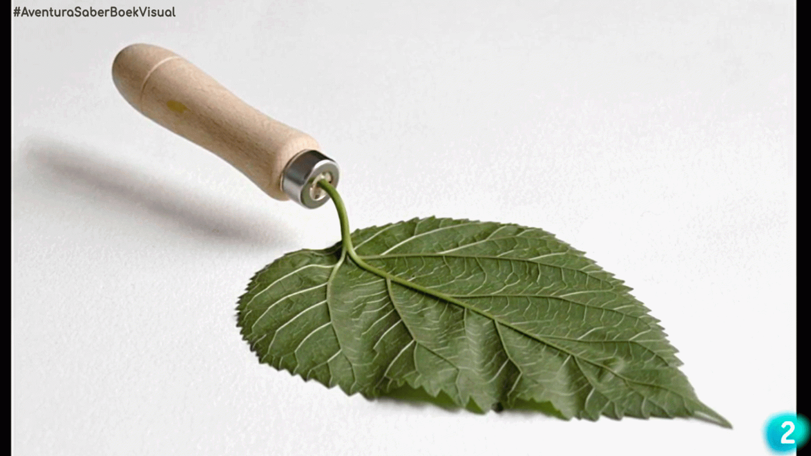 La aventura del saber Boek visual Alex Monfort Poesía Visual ArteConceptual #AventuraSaberBoekVisual