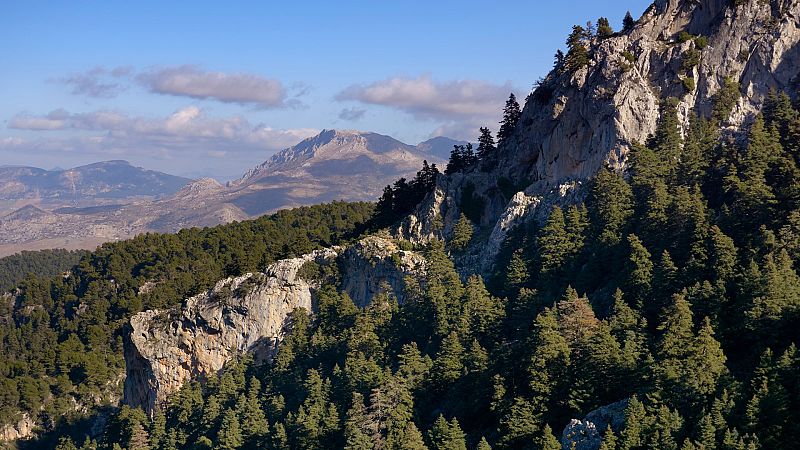 La Sierra de las Nieves ya está catalogada como  Parque Natural y Reserva de la Biosfera - Noticias Andalucía | Ver