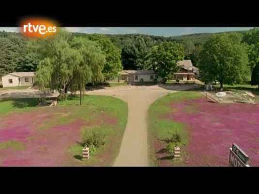 Días de cine - 'Destino Woodstock'