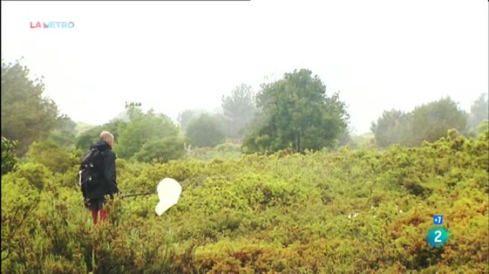 La Metro - Observadors de la biodiversitat