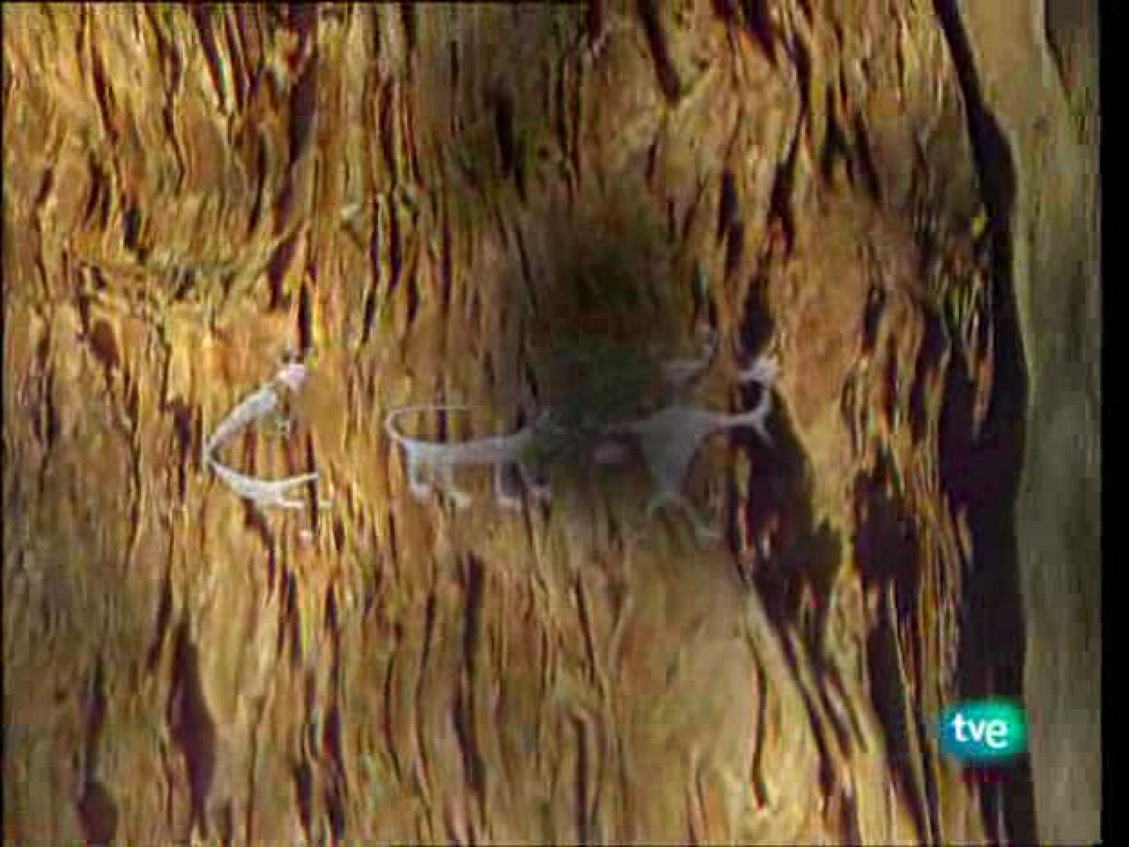 La ruta alternativa - A orillas del Mare Nostrum - La ruta alternativa | Ver