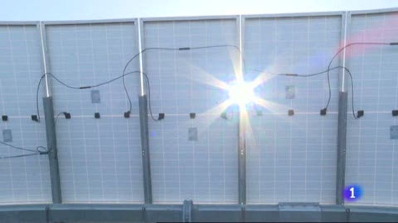Agricultura y ganadería entre paneles solares | Ver