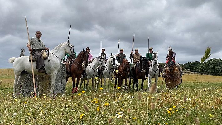 Tendido cero - Tendido cero - 29/05/21