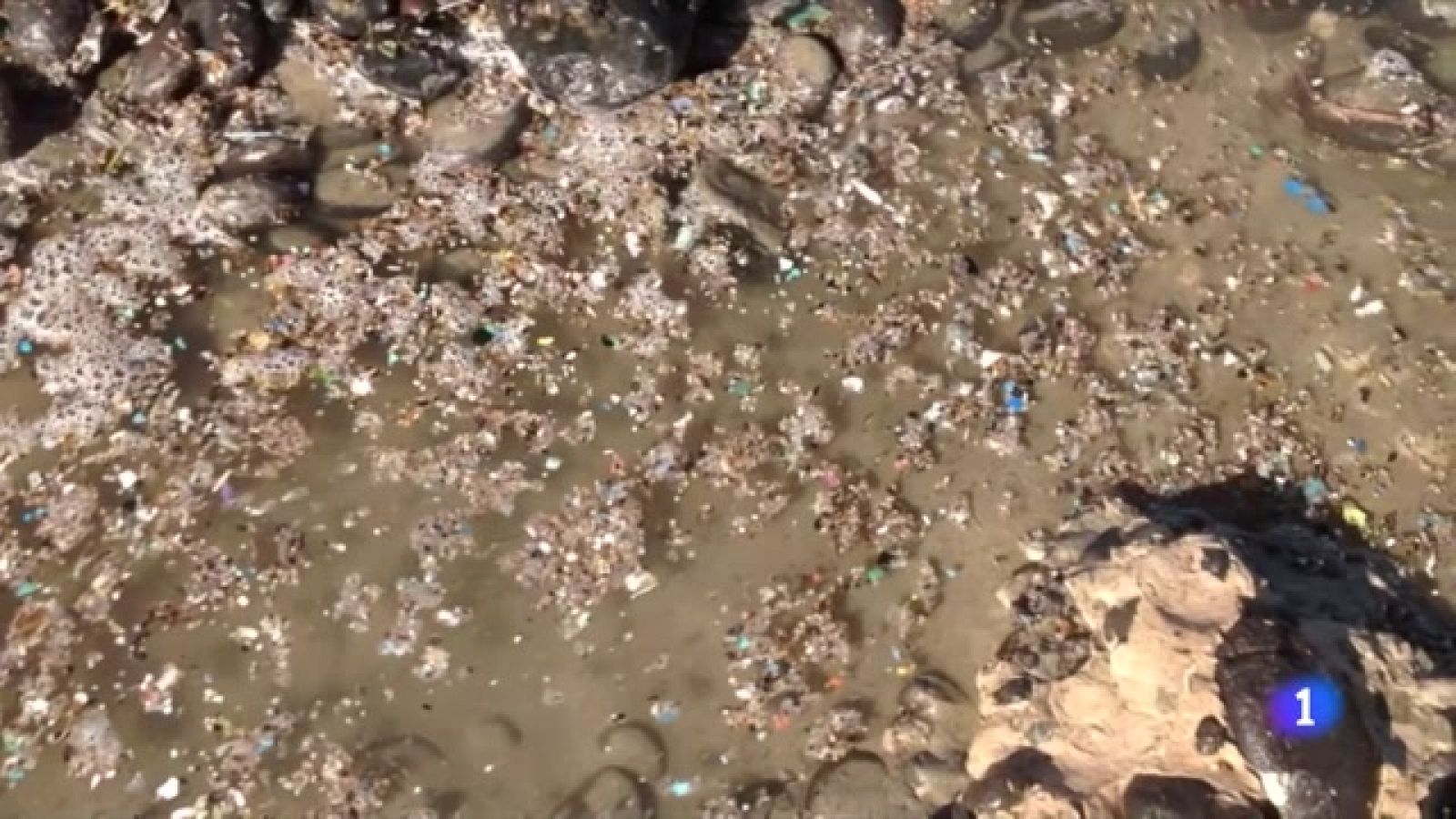 El agua de los océanos está repleta de plástico