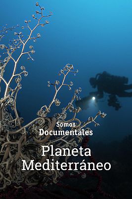 Somos Documentales - Planeta Mediterráneo