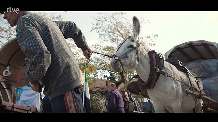 Ruta Vía de la Plata: Diario de un Ciclista - Etapa 9: De Béjar a Villanueva de Campeán
