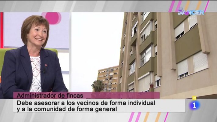 Cerca de ti - Cerca de ti - 31/05/2021