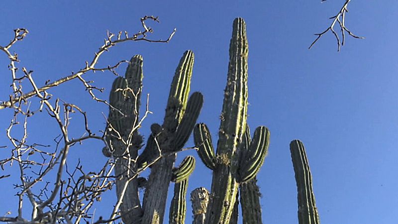 Espa�oles en el mundo - Baja California - ver ahora