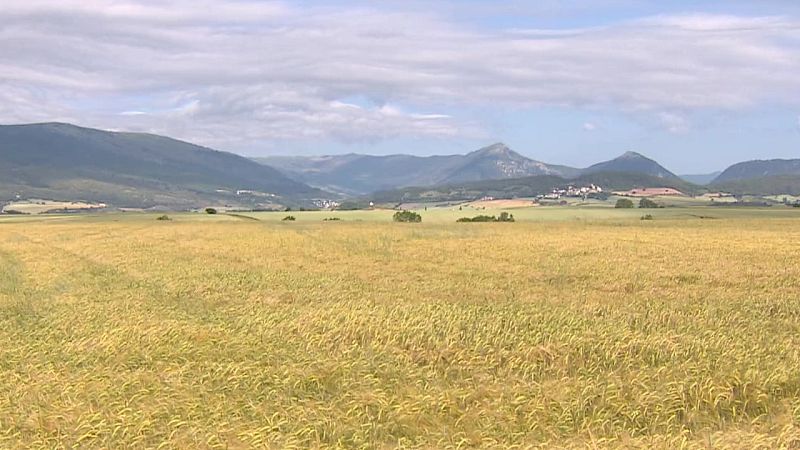 Chubascos y tormentas que podrían ser localmente fuertes en el interior de Galicia y del área cantábrica, oeste del sistema Central y Pirineo oriental - ver ahora