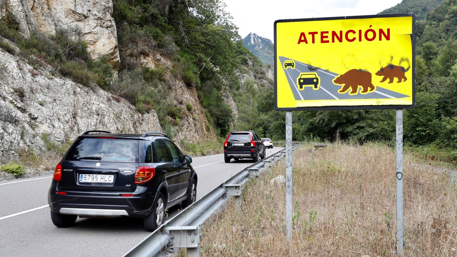 El presidente de la Fundación Oso Pardo dice que el ataque ocurrido en Asturias "es algo excepcional"