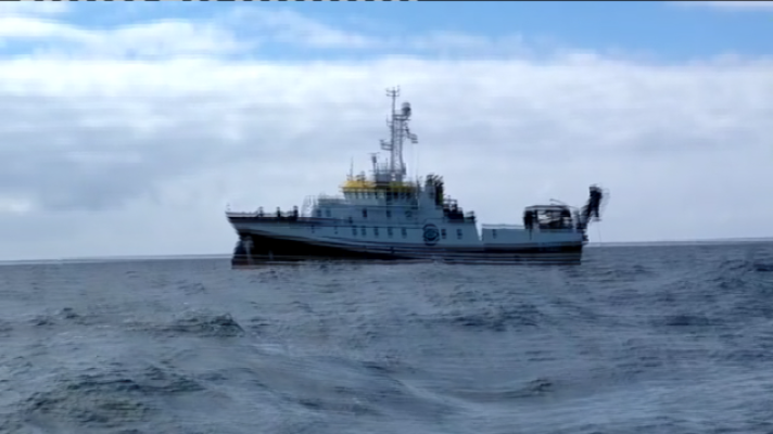 Telecanarias - Telecanarias 2 - 31/05/2021