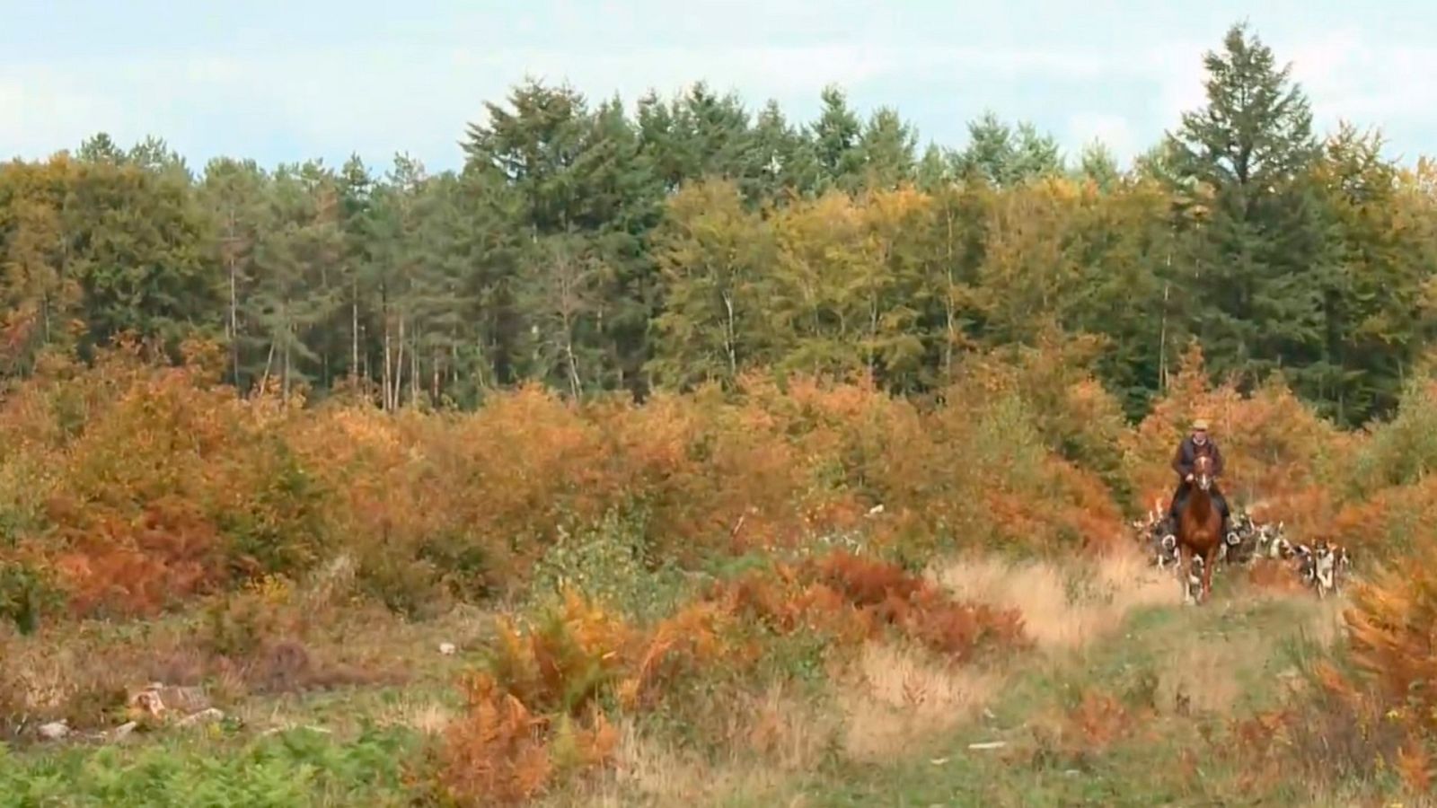 Las recetas de Julie - La caza - ver ahora