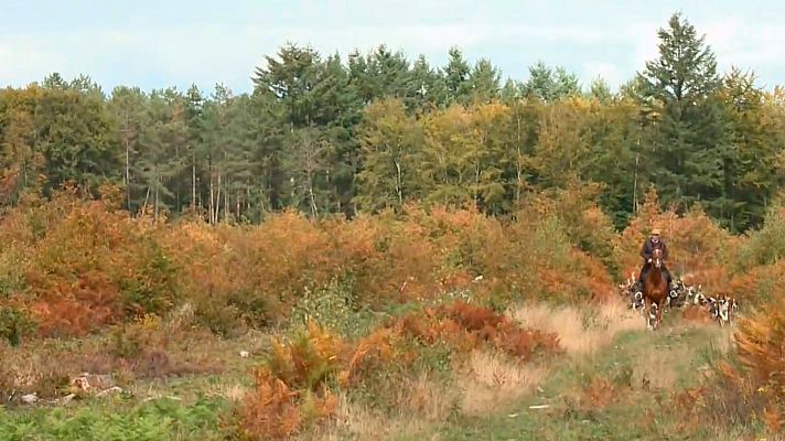 Las recetas de Julie - La caza