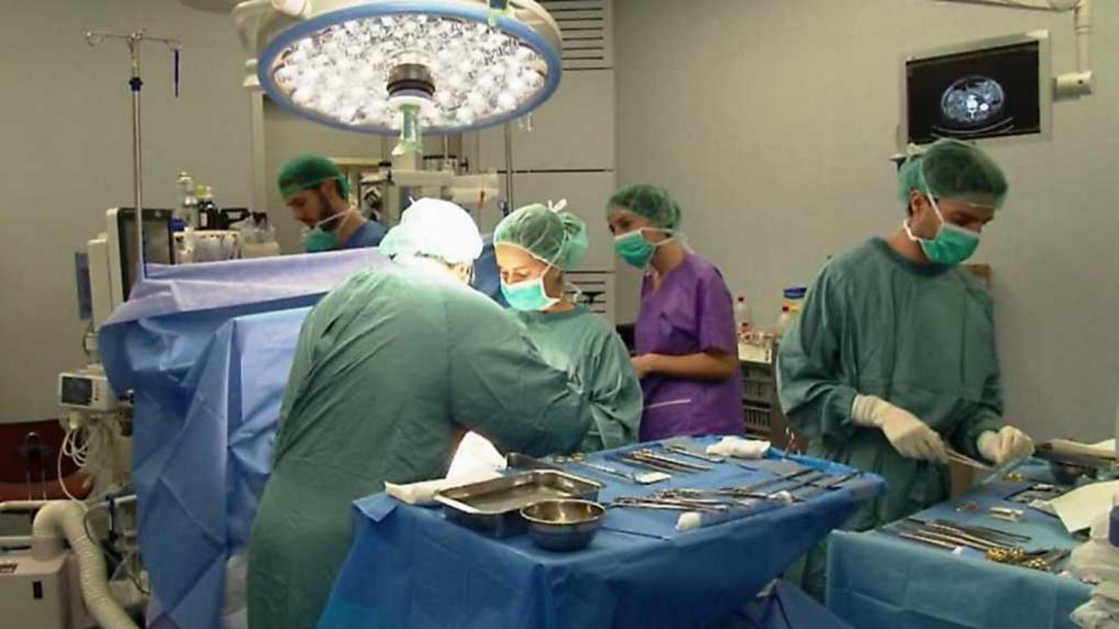 Comando Actualidad - Cada vez más gordos - ver ahora