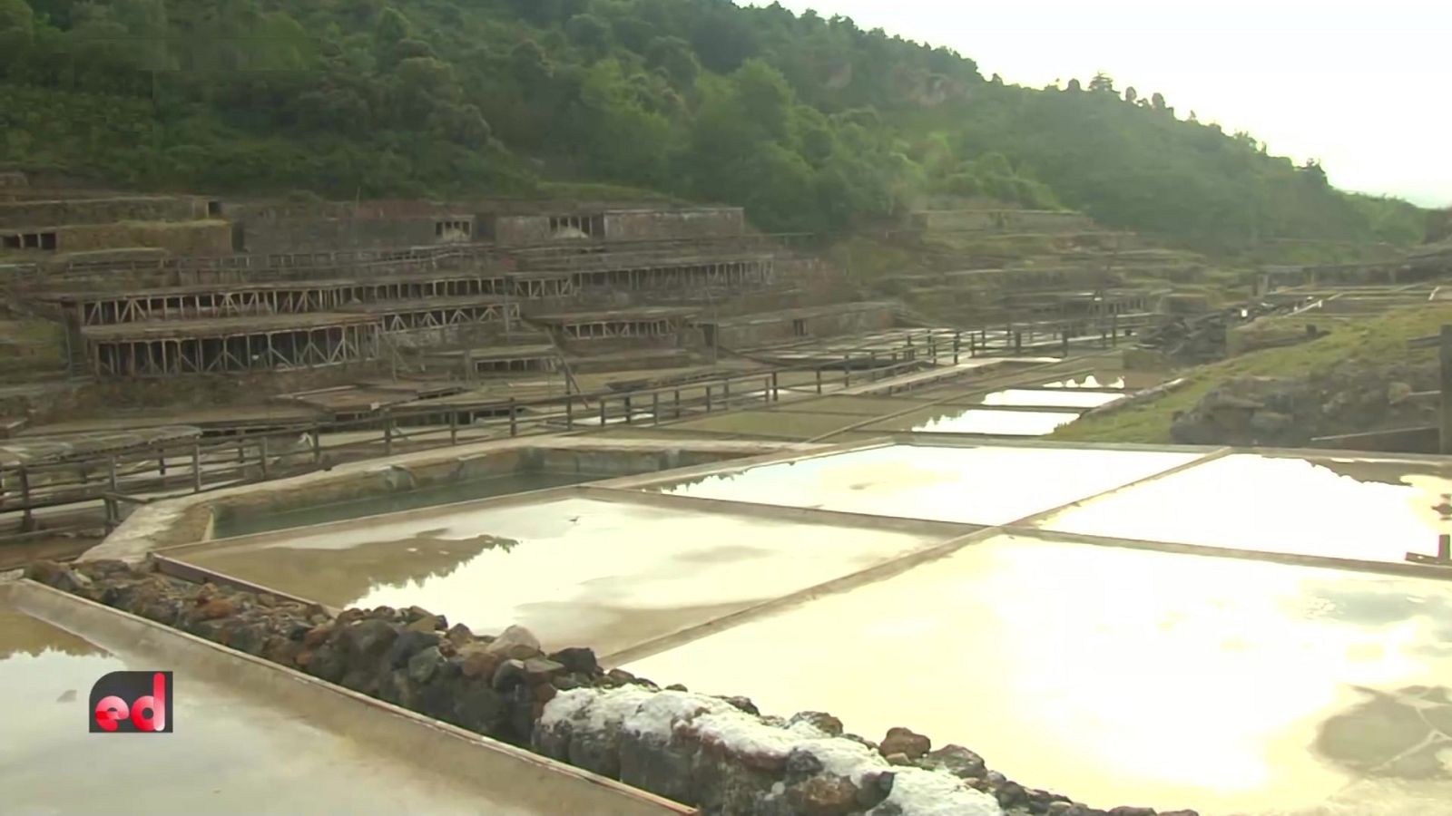 España Directo - 01/06/21 - ver ahora