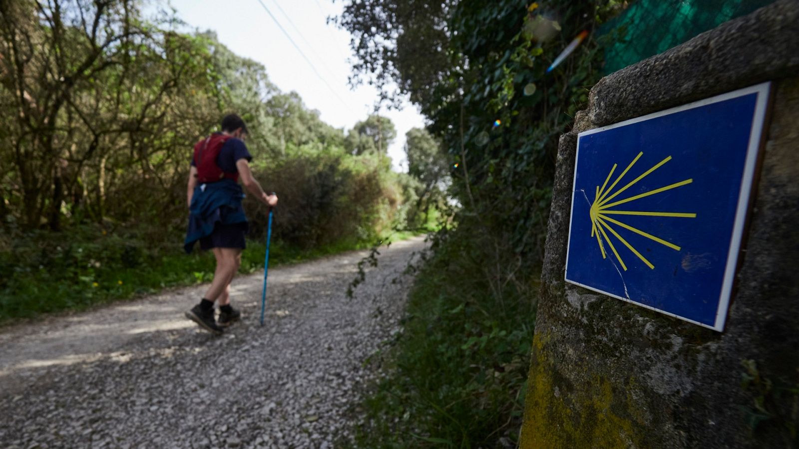 Camino de Santiago Navarra