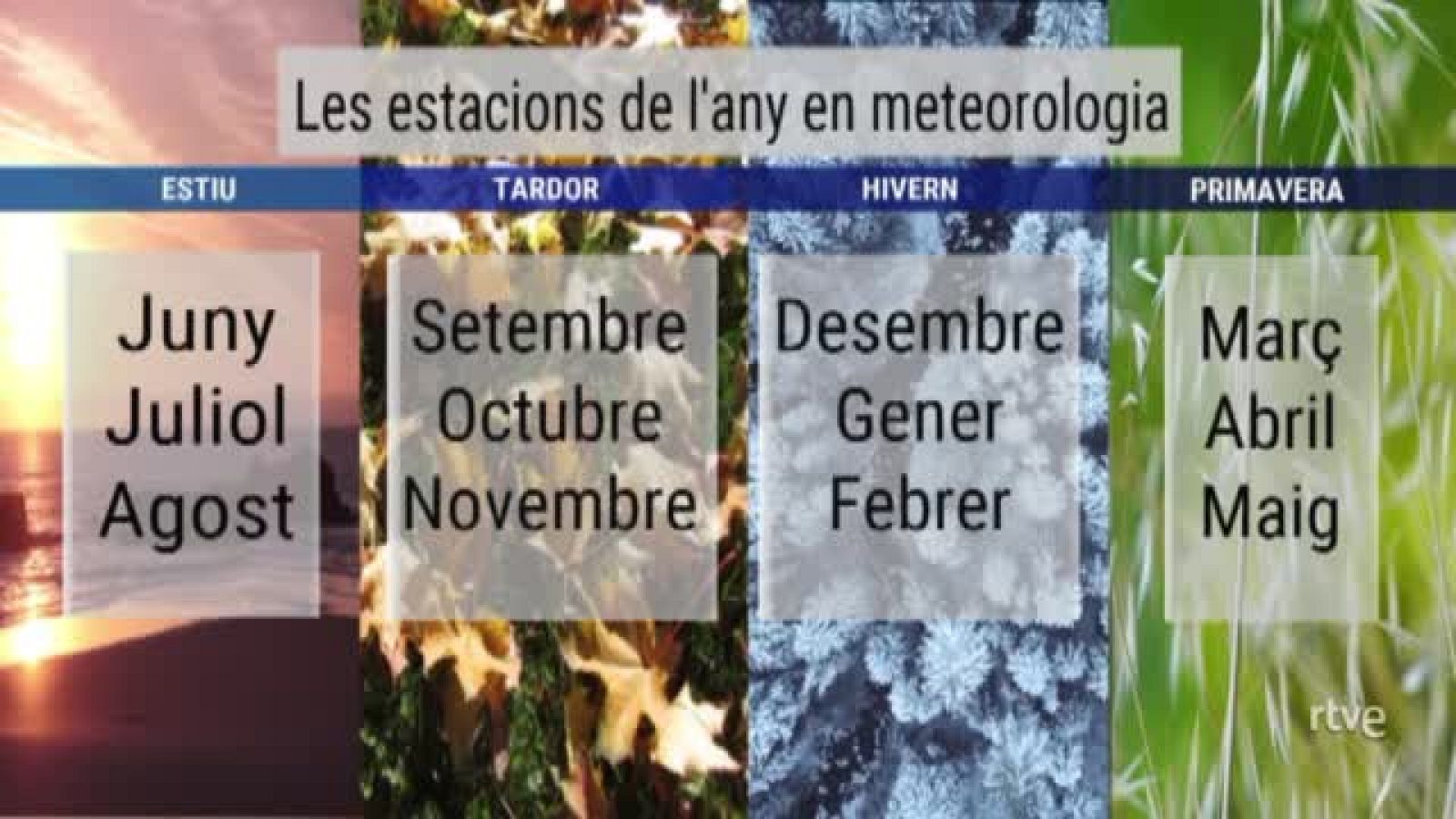 Les estacions de l'any en meteorologia | Veure