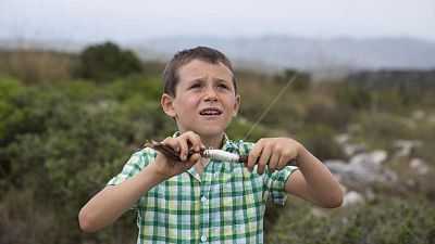 Un día perfecto para volar