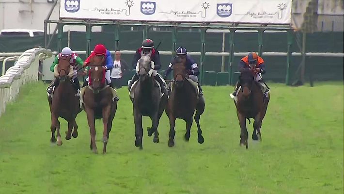 Hípica - Circuito nacional carreras de caballos (Hipód. S.Sebastián)