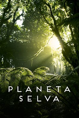 Planeta selva - El bosque mítico, Sabinares