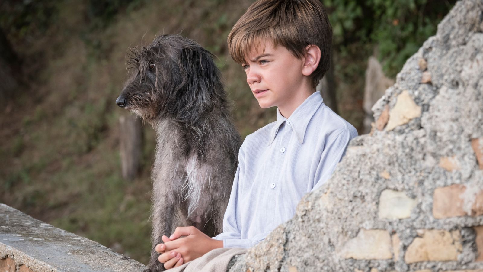 Los Durrell - Temporada 2 - Episodio 5 - Ver ahora