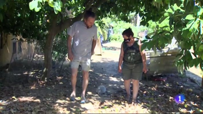 Noticias Andalucía - 30 años de entrega a los pájaros en el entorno de Doñana