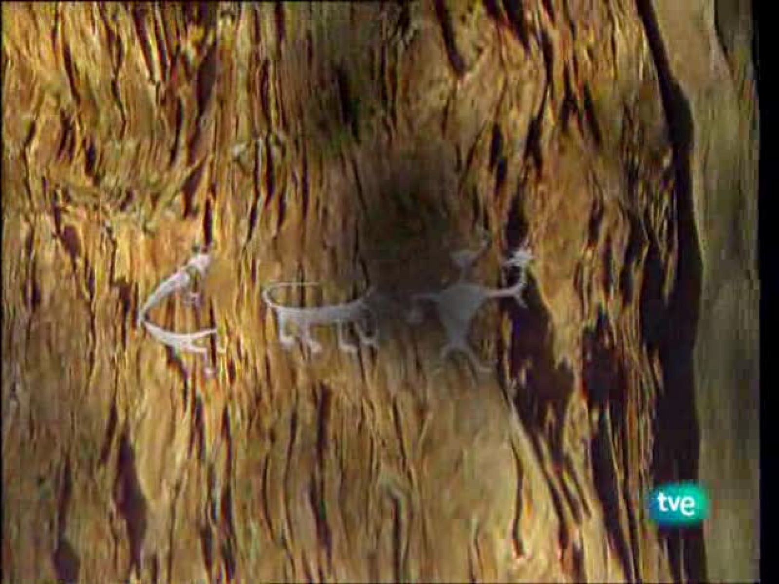 La ruta alternativa - Entre dos continentes - La ruta alternativa | Ver