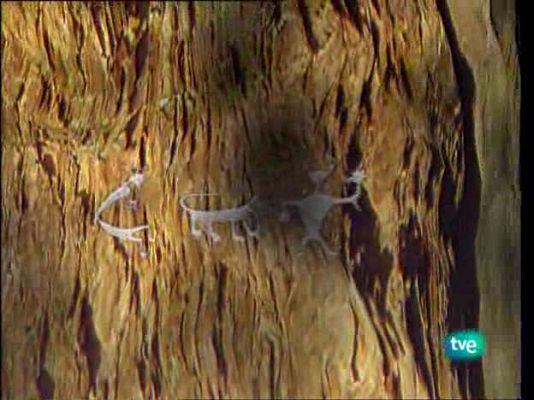 La ruta alternativa - Entre dos continentes