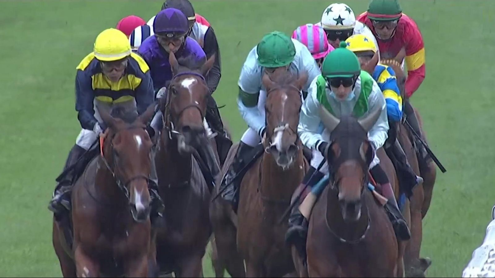 Hípica - Circuito nacional de carreras de caballos, desde el Hipódromo de La Zarzuela - ver ahora