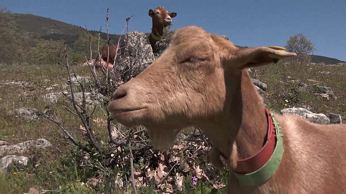 Aquí la Tierra - Aquí la Tierra - 06/06/21