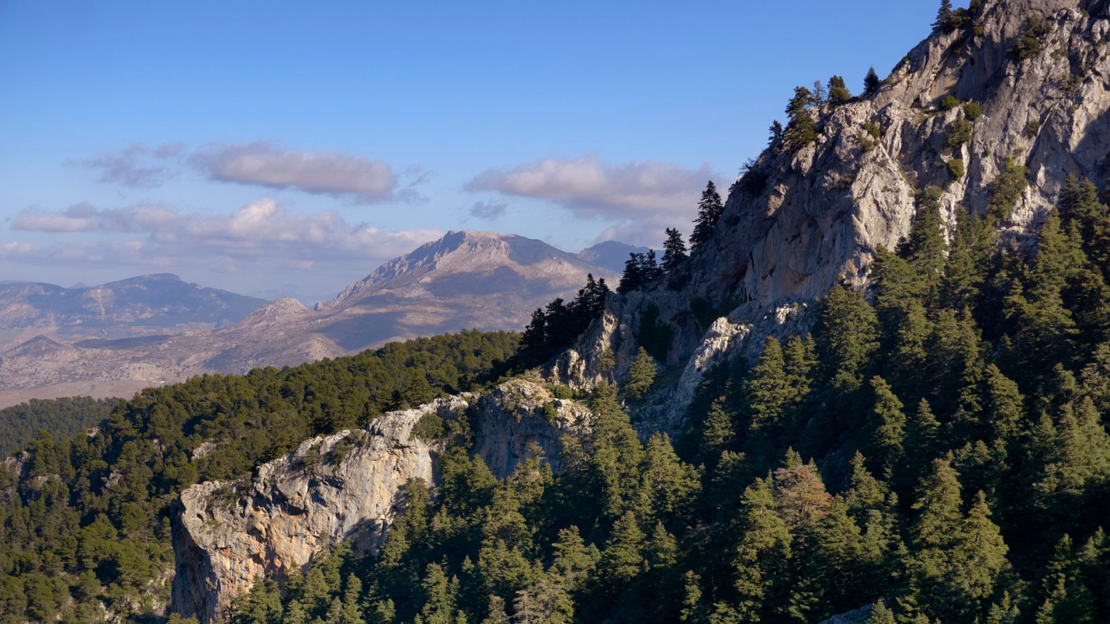España Directo - Sierra de las Nieves, tercer Parque Nacional de Andalucía