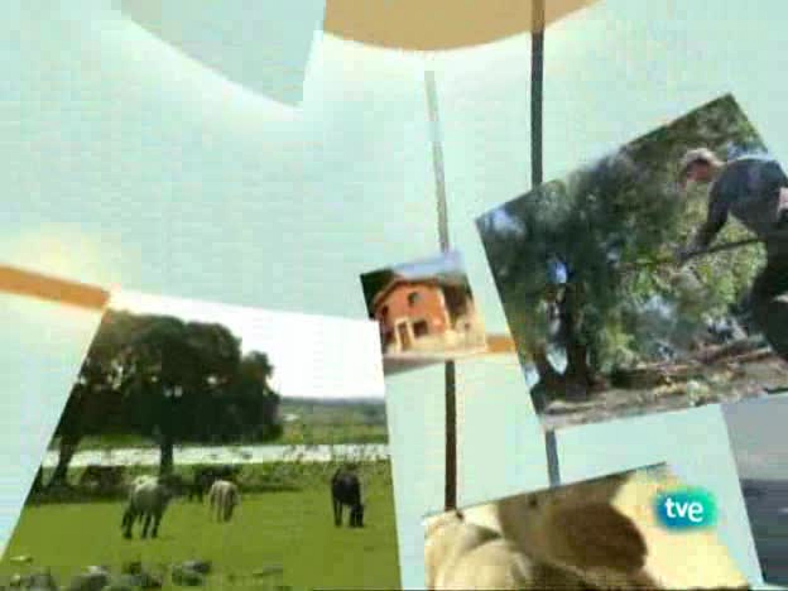 Agrosfera - 26/09/09 - Agrosfera | Ver