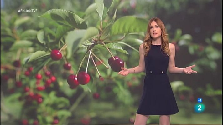 En Línia - Les agressions LGTBIfòbiques, les cireres i el sexe animal