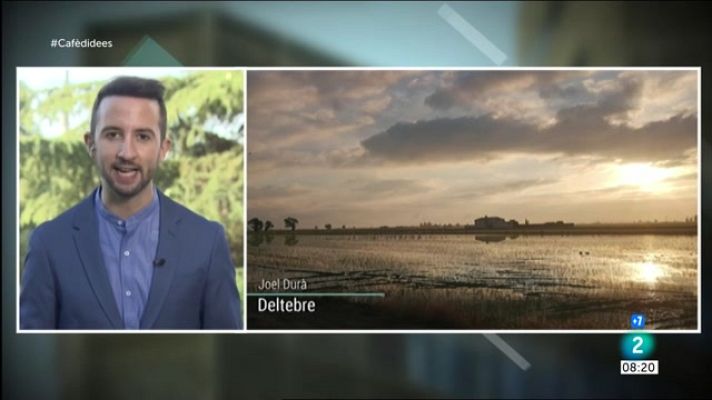 El temps - El sol i la calor, protagonistes del dia