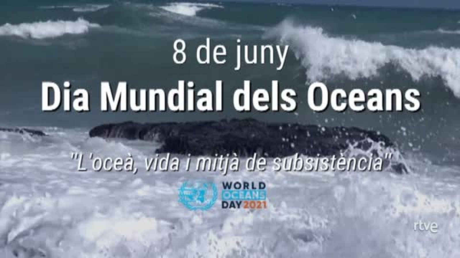 8 de juny: Dia Mundial dels Oceans | Veure