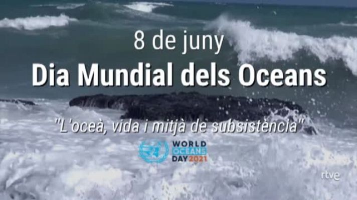  - 8 de juny: Dia Mundial dels Oceans