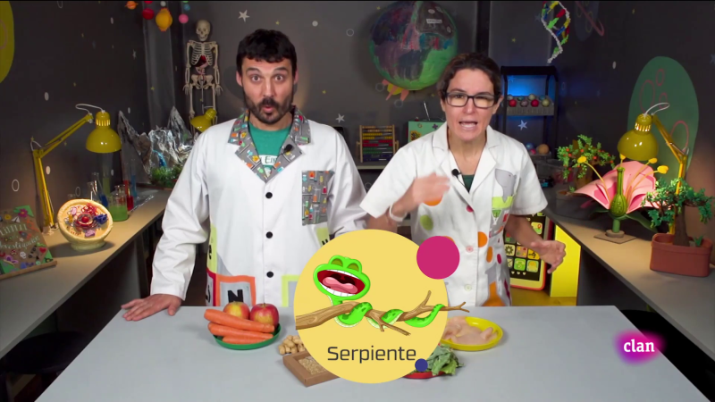 Aprendemos en Clan - CIENCIAS NATURALES - Una serpiente en tu salón - RTVE.es - Aprendemos en Clan | Ver