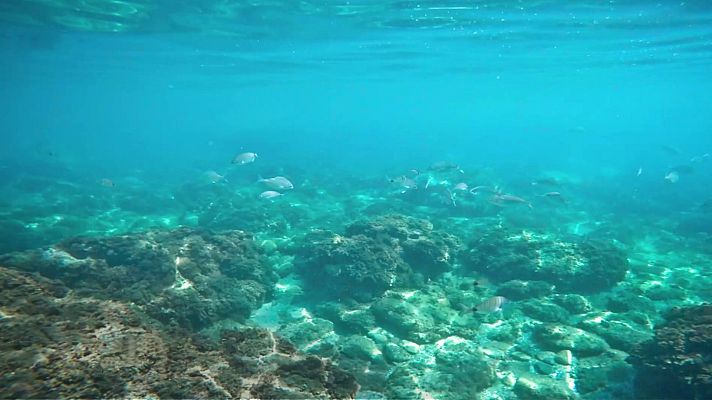 El tiempo - Posibilidad de tormentas localmente fuertes en el sur del sistema Ibérico. Algún intervalo de viento fuerte en el Estrecho y Canarias. Temperaturas significativamente altas en el valle del Guadalquivir