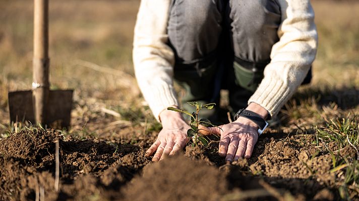 Aquí la Tierra - El regalo de Ilundáin para las futuras generaciones