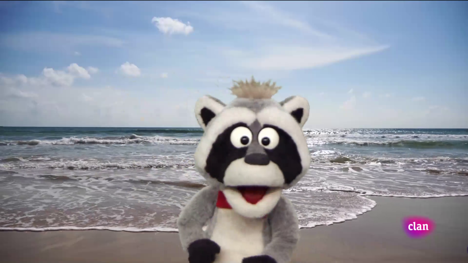 Aprendemos en Clan - 'Está mapachando' - Focas surferas y más - RTVE.es - Aprendemos en Clan | Ver