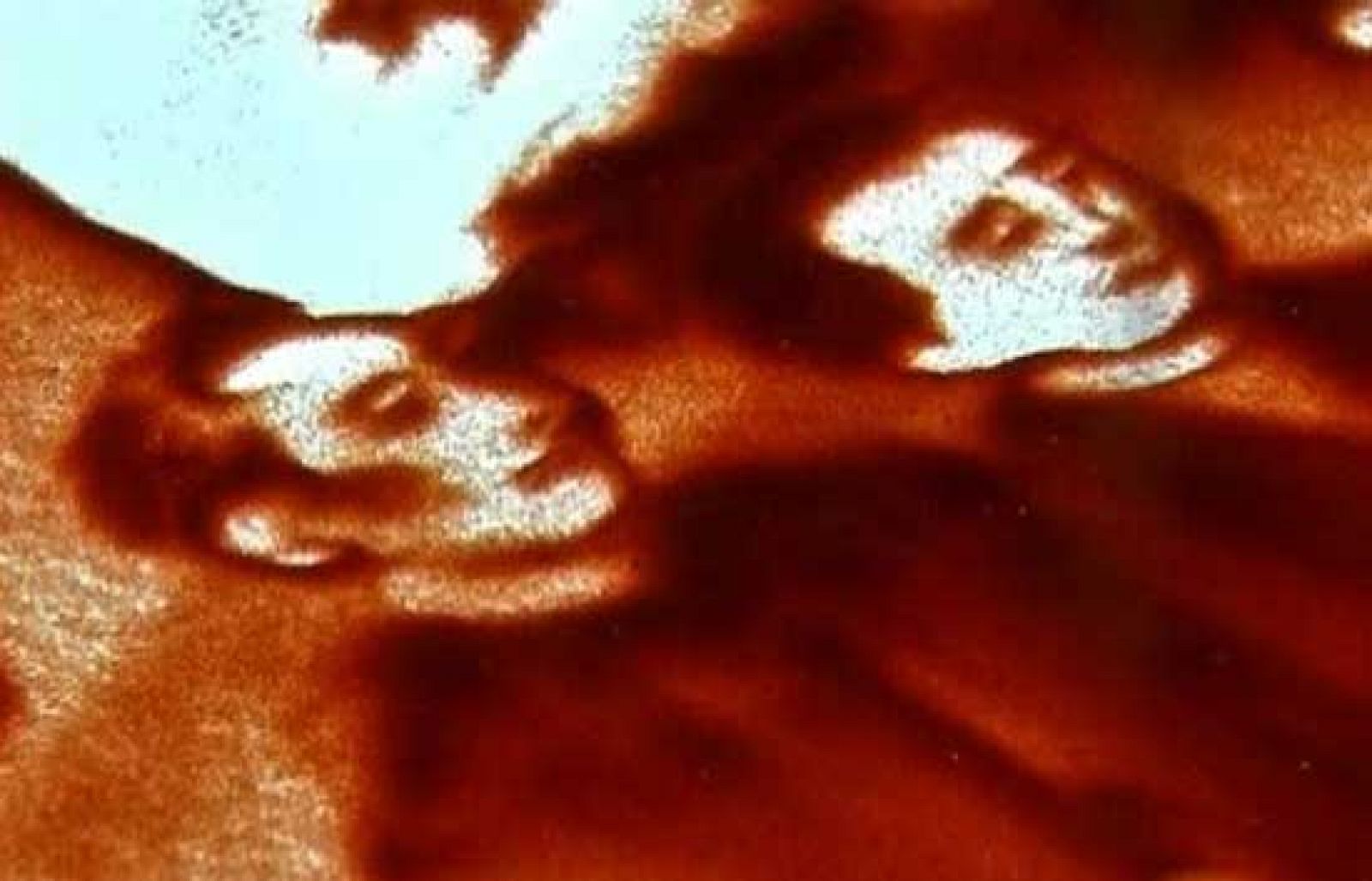 Dibujos con arena | Ver