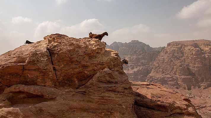 Infierno arábigo - Vida y muerte en las dunas