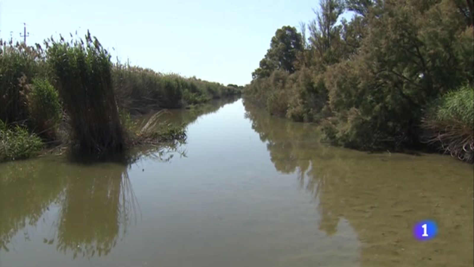 La Ricarda, un espai natural en risc