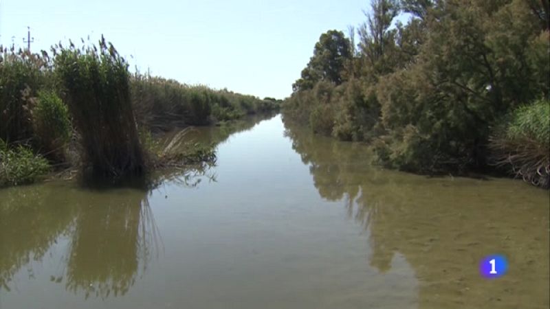 La Ricarda, un espai natural en risc